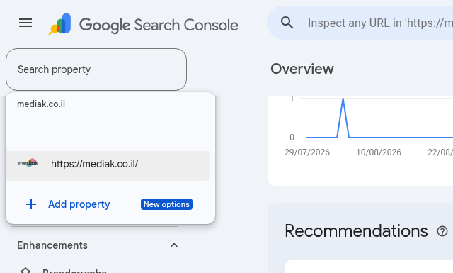 בורר הנכסים ב-Search Console